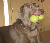 Maggie Lou